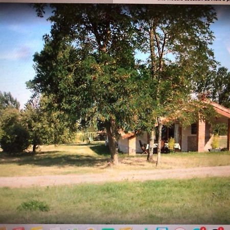 Location Gite 4 Personnes Mazeres - La Petite Maison Mazères Exterior foto