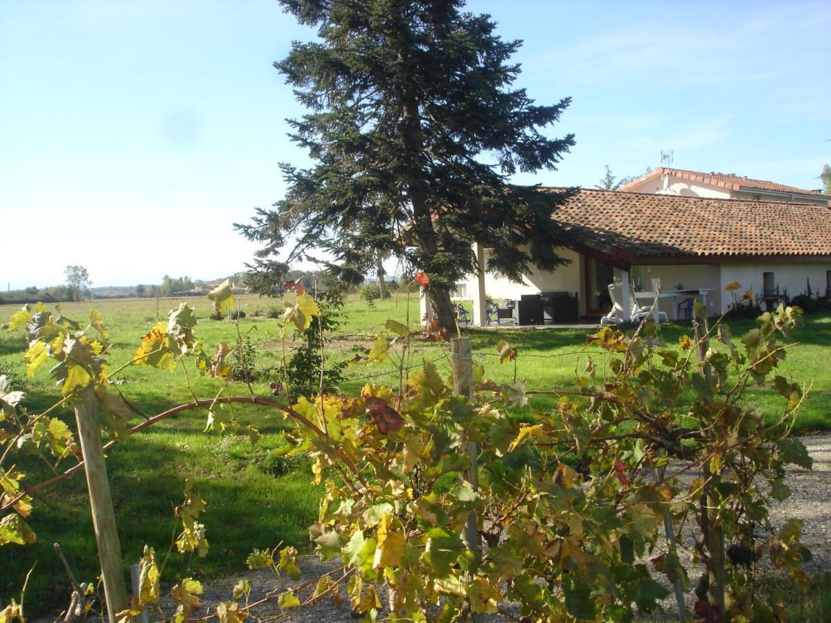 Location Gite 4 Personnes Mazeres - La Petite Maison Mazères Exterior foto