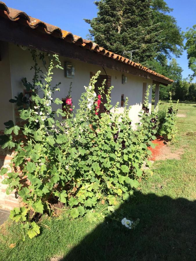 Location Gite 4 Personnes Mazeres - La Petite Maison Mazères Exterior foto