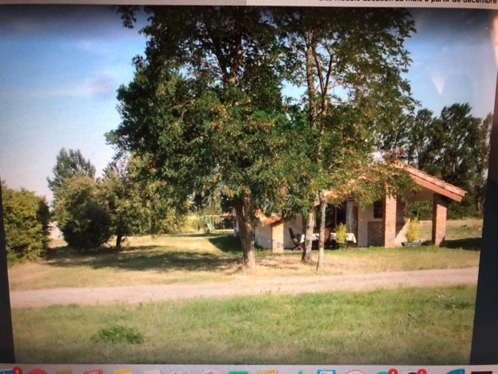Location Gite 4 Personnes Mazeres - La Petite Maison Mazères Exterior foto